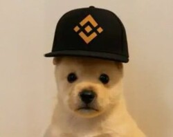 pup