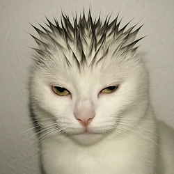 sigmew