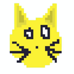 Solana Cat
