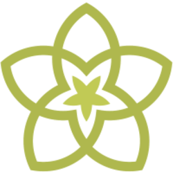 Spring Token