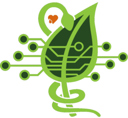 Swamp Coin