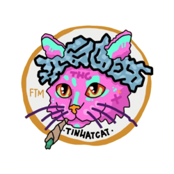 TinHatCat