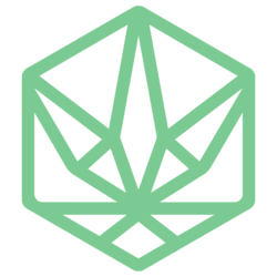 Hydra