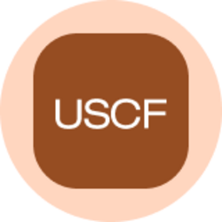 United States Oil Fund (Ondo Tokenized)