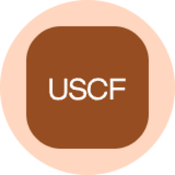 US Brent Oil Fund (Ondo Tokenized)