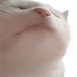 Vibe Cat