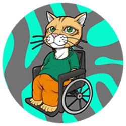 Wheelchair Cat