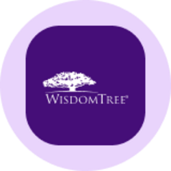 WisdomTree US Quality Dividend Growth Fund (Ondo Tokenized)
