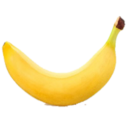 World Record Banana