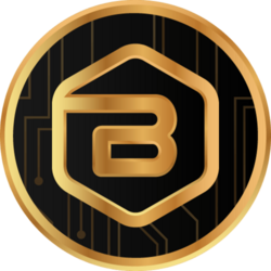 BESC LLC