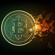 Was ist mit EverGrow Coin passiert? Wie EGC zu CedarDAO wurde