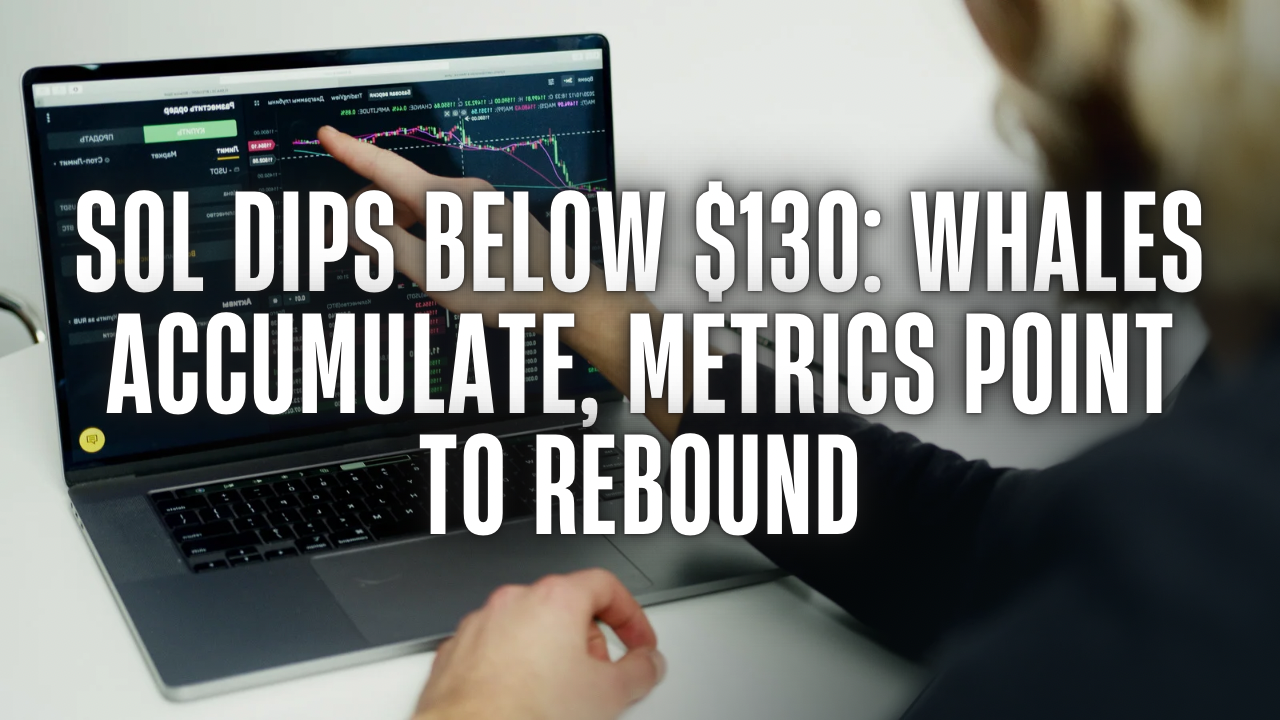 SOL Price Dips Below $130: Whales Accumulate, Metrics Point to Rebound