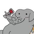 Why an Elephant-icon-avatar