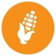 Corn Crypto Network-icon-avatar