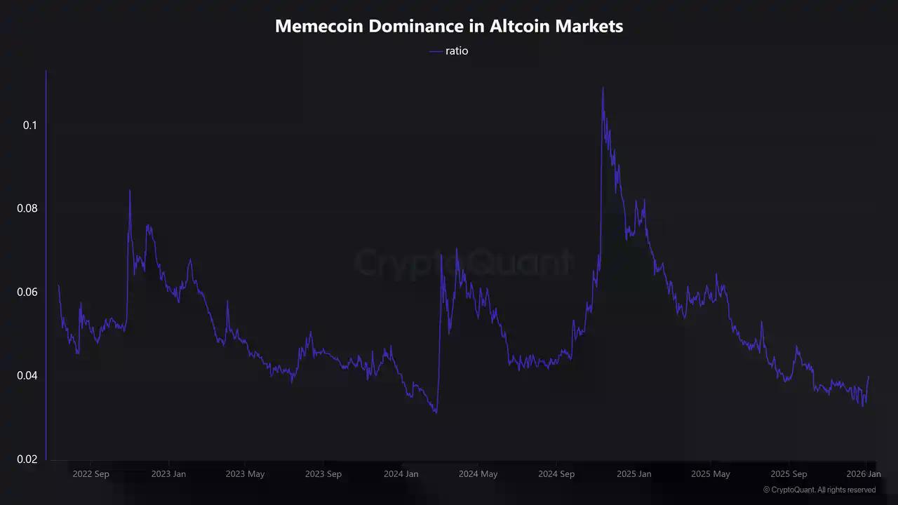 $114514狂飙4000万市值，还有哪些项目可以埋伏？