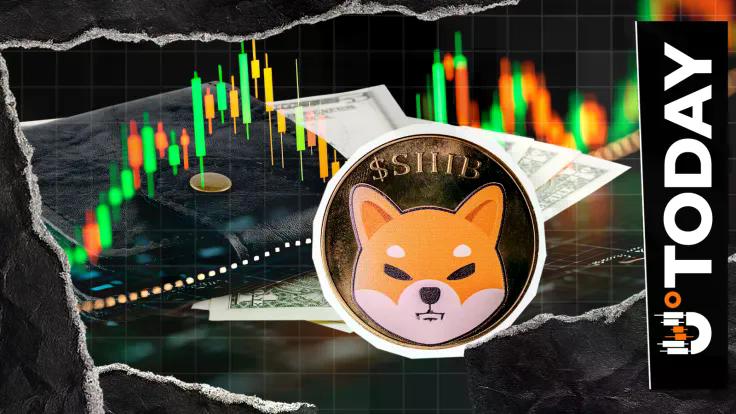 shib-holder-surge-update-shared-by-shiba-inu-team-steady-growth