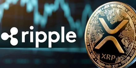新聞專區-解码XRP筹码分布，谁拥有最多的XRP？