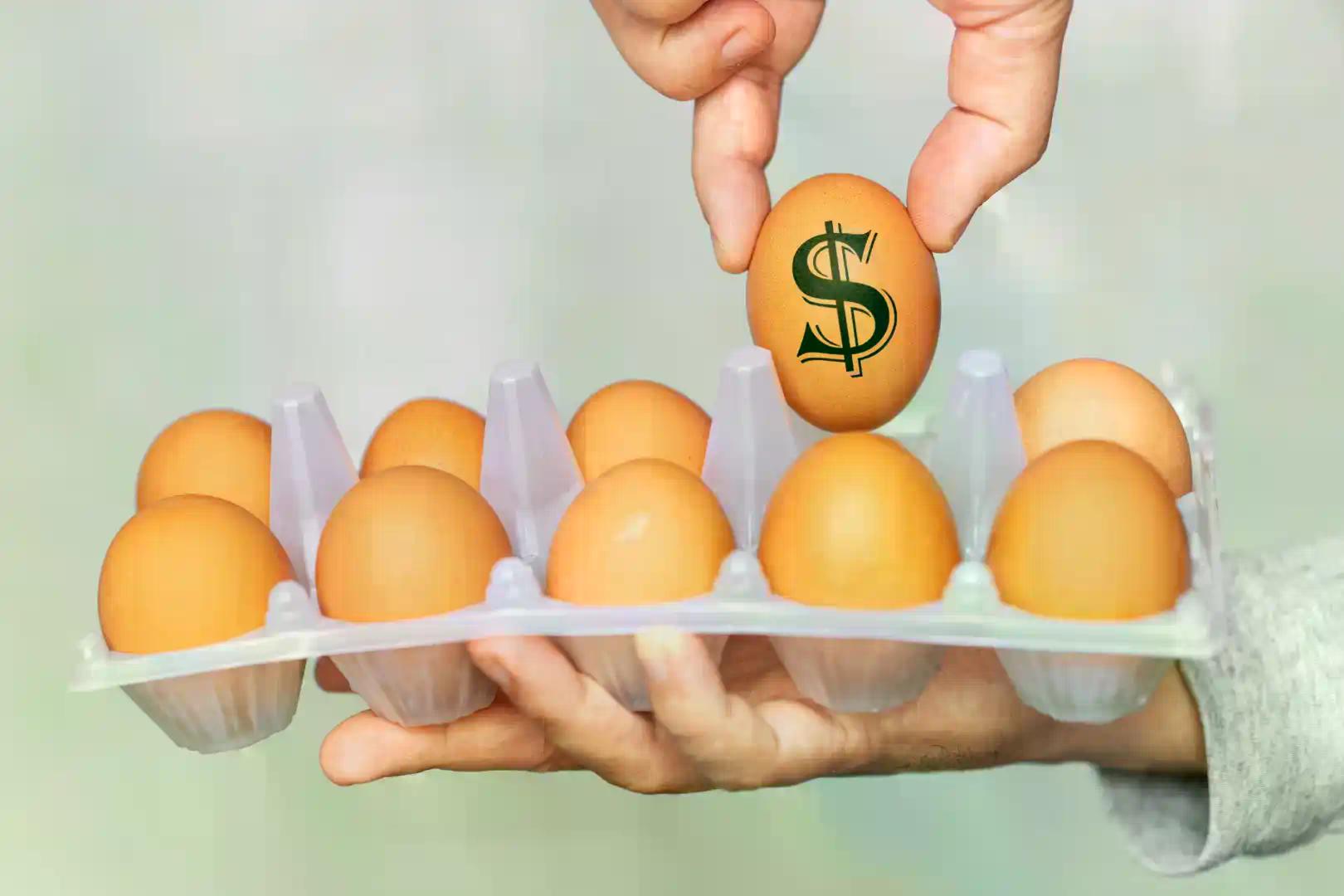 一枚鸡蛋的百年流浪,从华尔街到Polymarket