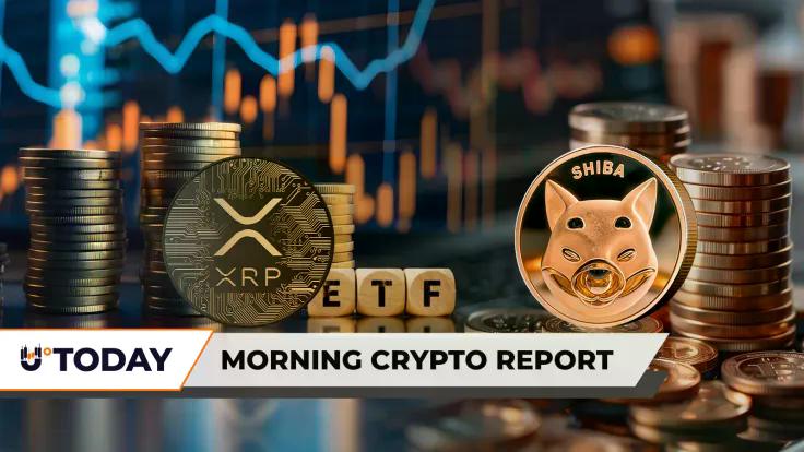 xrp-max-pain-triggered-ahead-of-friday-etf-deadline-billions-of-shiba-inu-shib-vanish-from