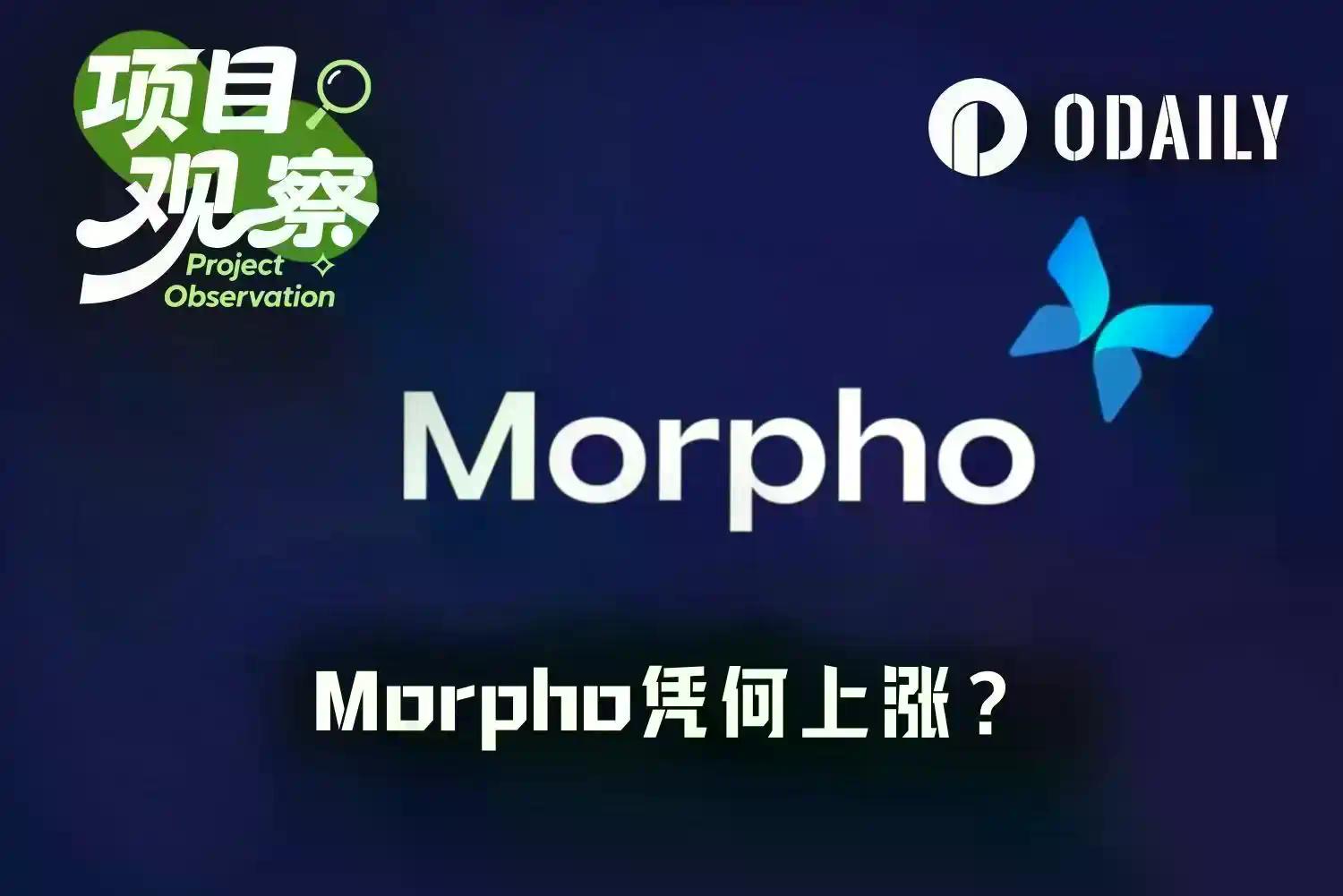 Aave内战升级，Morpho悄然翻倍：借贷王座要换人了？