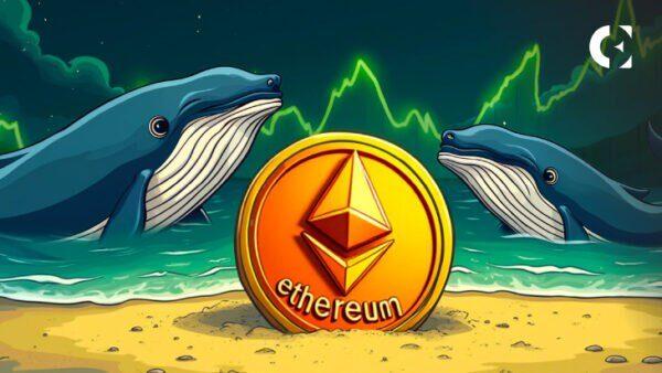Ethereum Exchange Supply Hits 1-Year Low as Whales Increase Holdings by 52%