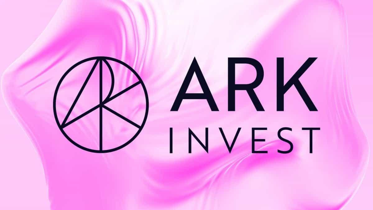 News section-Ark Invest scoops up $18 million in Circle shares as stock dips 41% over past month
