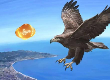 公开的密谋:如何将$SIGN推向1美元