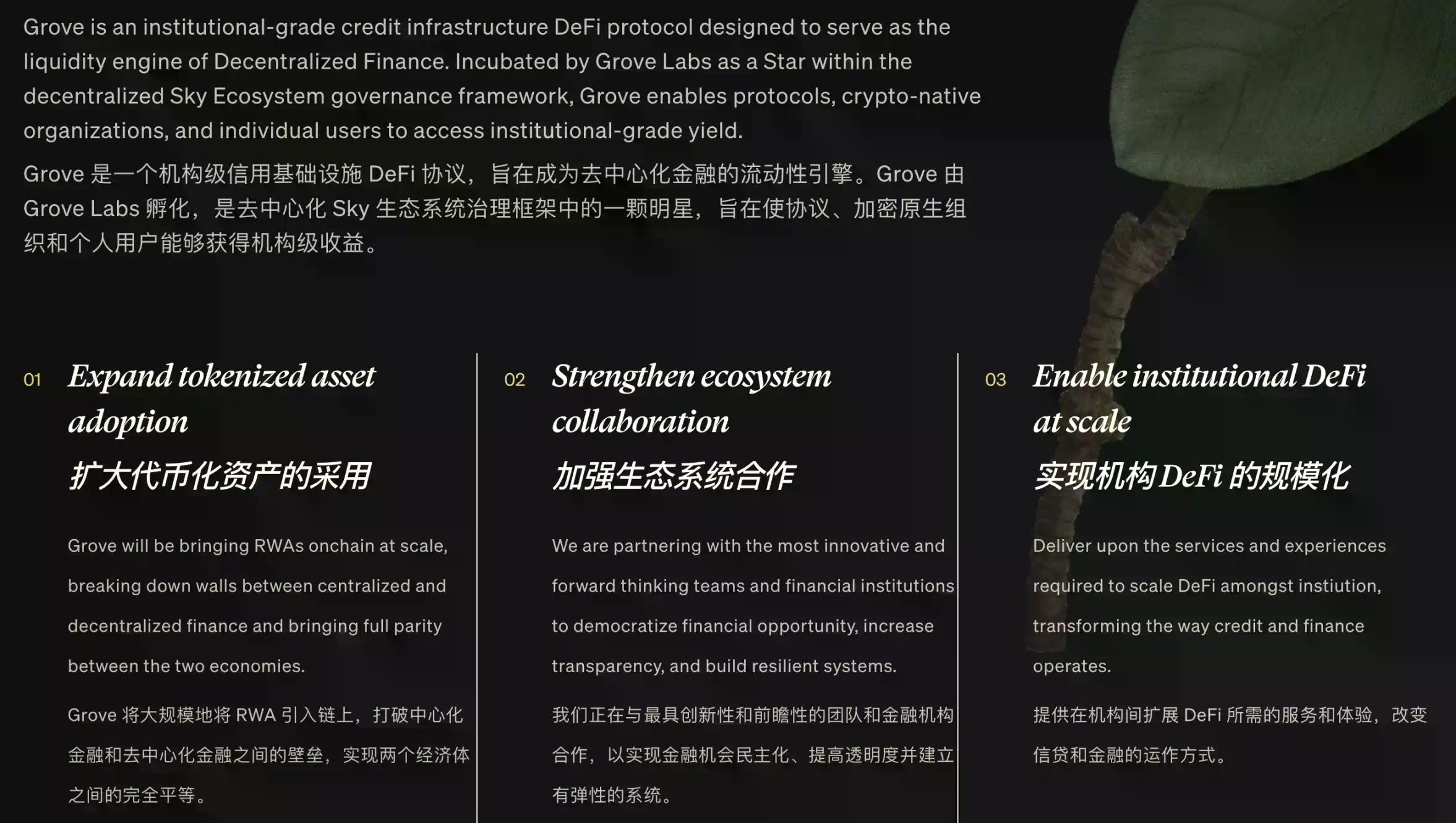 继 Spark 后，Sky 押注 Grove，RWA 新贵登场？