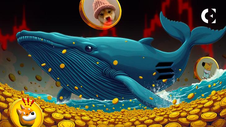 News section-As Meme Coin Hype Fades, Is a Rotation into Bitcoin and Altcoins Imminent?