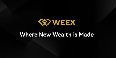 新聞專區-WEEX Labs：展望2026，大家看好哪些显著机会？