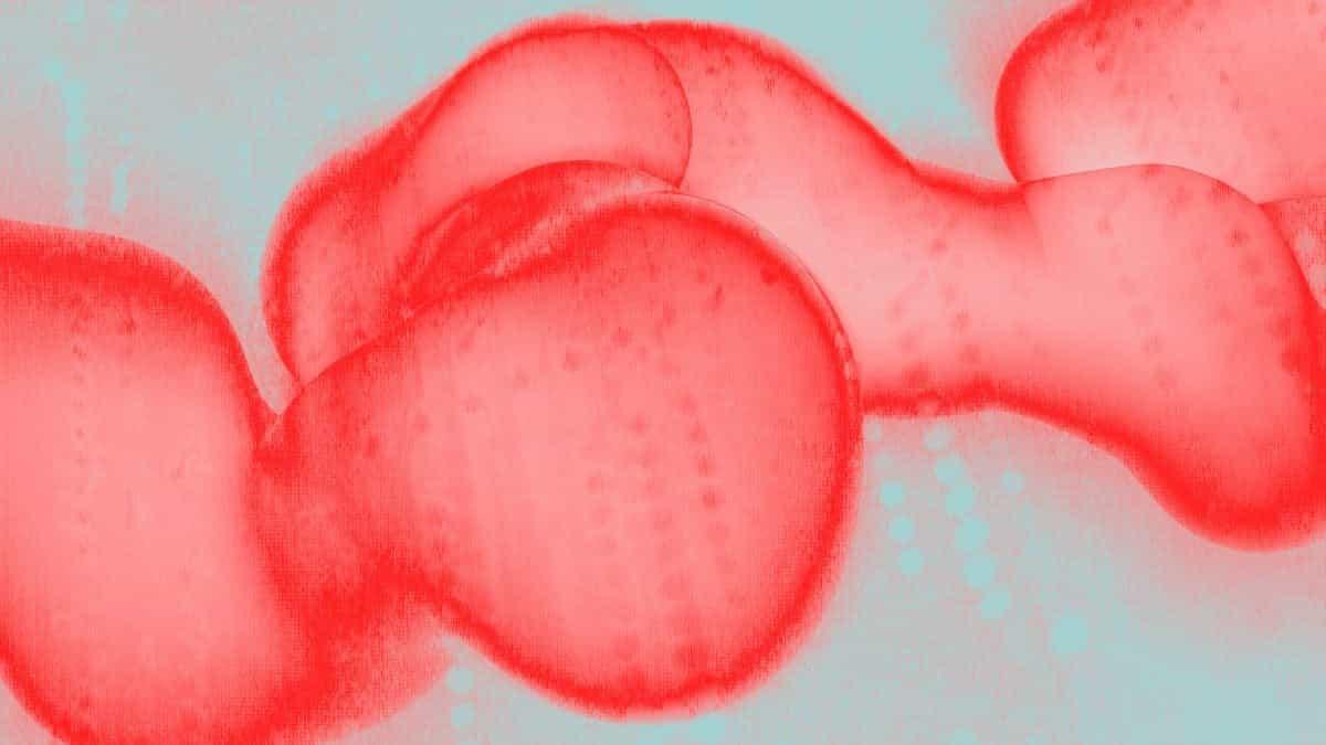 News-Bereich-Kelp DAO schiebt Schuld für 292-Millionen-Dollar-Exploit auf LayerZero; Aave untersucht Szenarien für faule Kredite