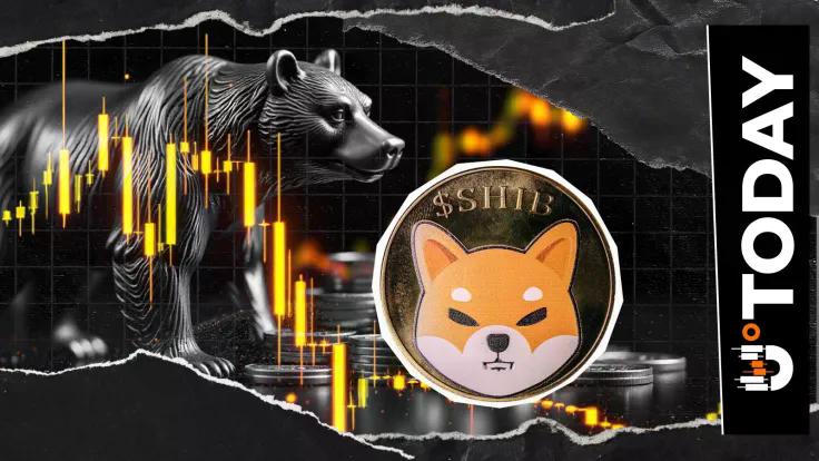 shiba-inu-bears-activated-as-netflow-tops-350-billion-shib