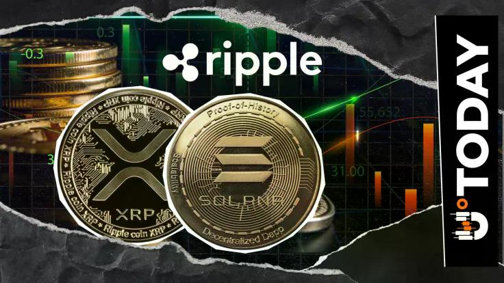 News-Bereich-Ripple-Entwickler reagieren auf Solanas XRP-Beitrag – etwas, auf das man achten sollte?