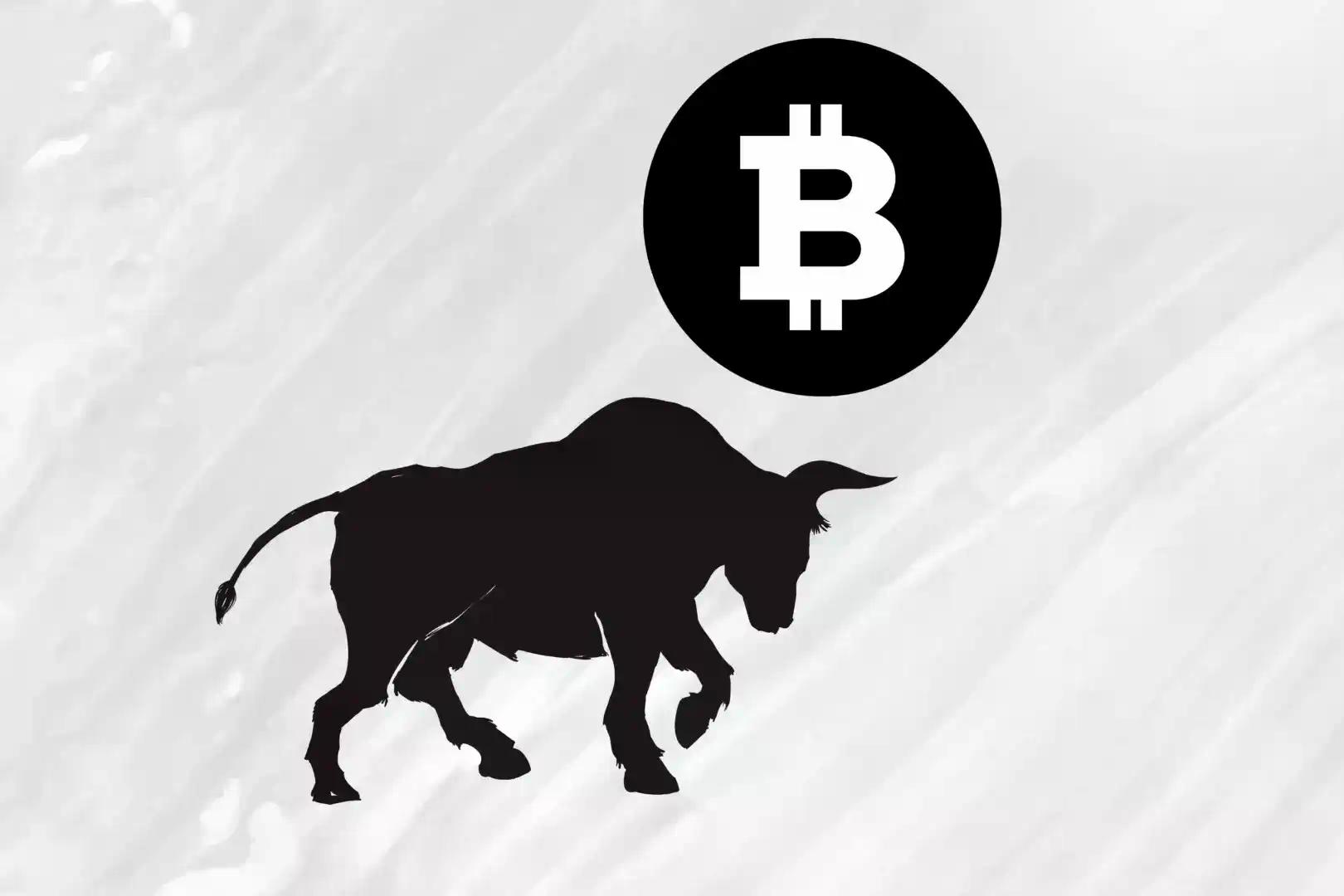 新聞專區-BitMEX Alpha：这次也一样，加密周期不会失效