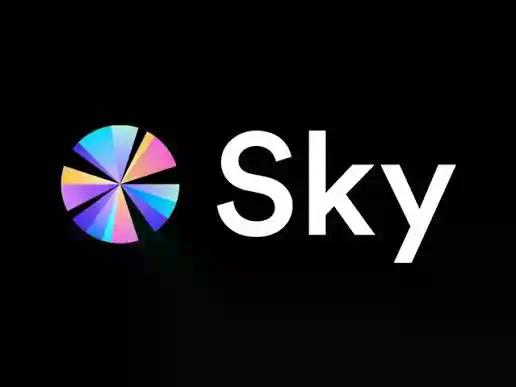 新聞專區-收益下行时代，Sky的超额收益从何而来？