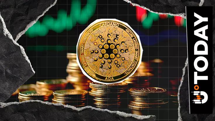 News section-10,000,000 Cardano Holders Top 424 as Price Fights to Come Back