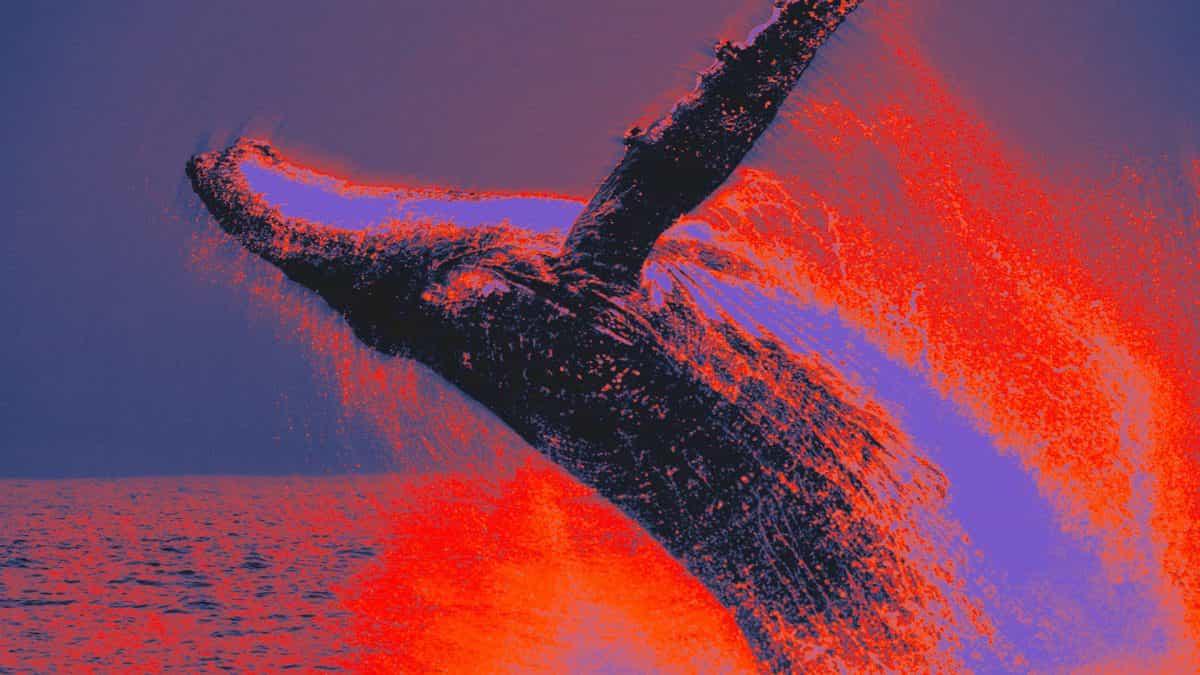 early-bitcoin-whale-sends-33-million-binance-extending-long-running-exchange-deposits