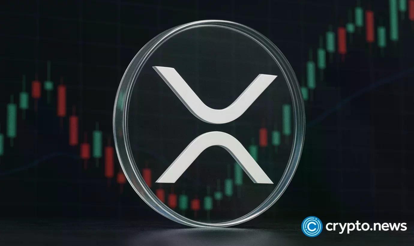 News section-Evernorth XRP treasury names OpenAI Foundation CFO to its board ahead of Nasdaq listing