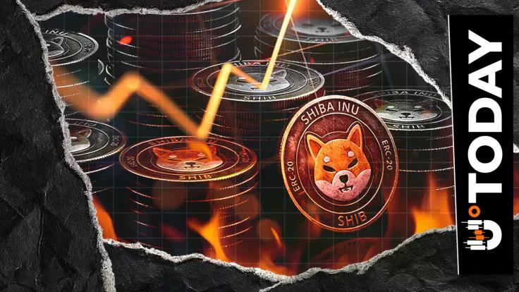 shiba-inu-sees-rapid-network-growth-as-burn-rate-soars-637