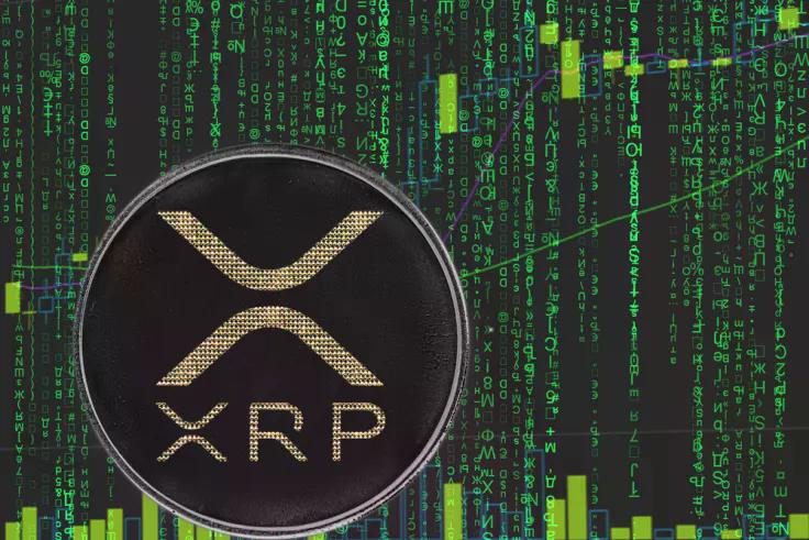 mystery-whale-rapidly-accumulates-35-million-in-xrp-in-under-hour