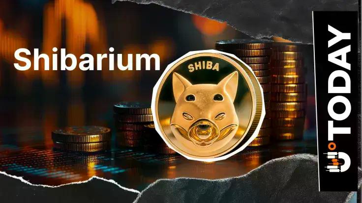 News section-Shiba Inu: Shibarium Transactions Plunge 88%, What's Behind It?