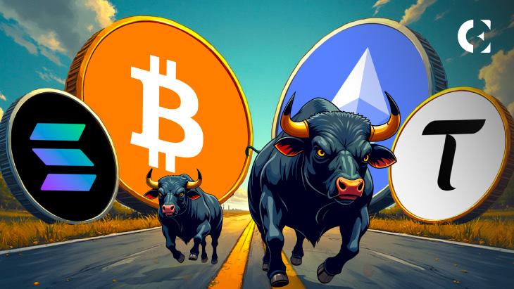 Top Crypto Gainers in the Last 24 Hours: Zcash and Telcoin Lead the Pack as BTC Consolidates