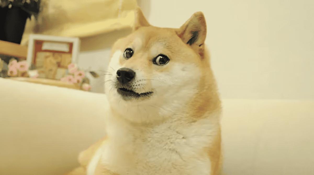 News section-Dogecoin gains access to Paxos network used by PayPal and Venmo