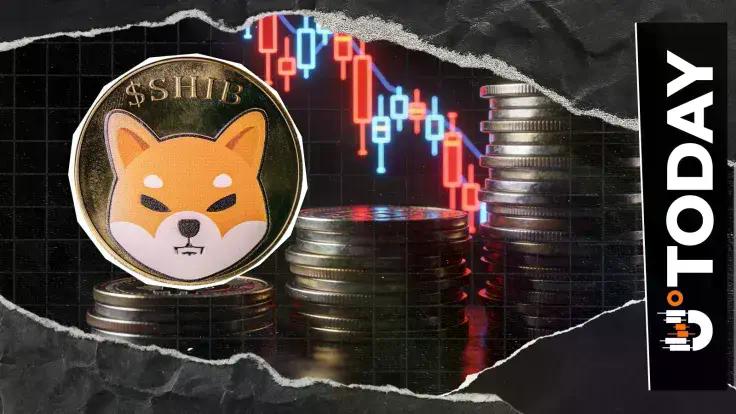 shiba-inu-shib-volume-falls-20-liquidity-crunch-coming