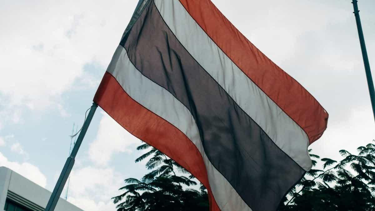 News section-Bank of Thailand audits high-volume stablecoin trades to crack down on illicit finance: report