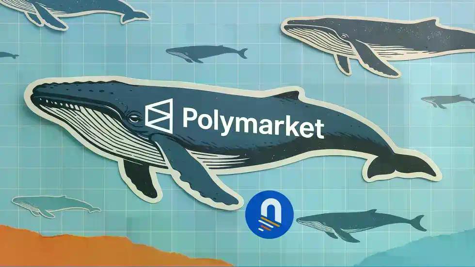 从100%返还到20%：Polymarket手续费调整背后的博弈