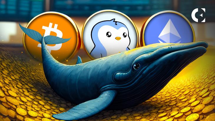 Whales Are Buying Again: 3 Coins They’re Stacking for 2025
