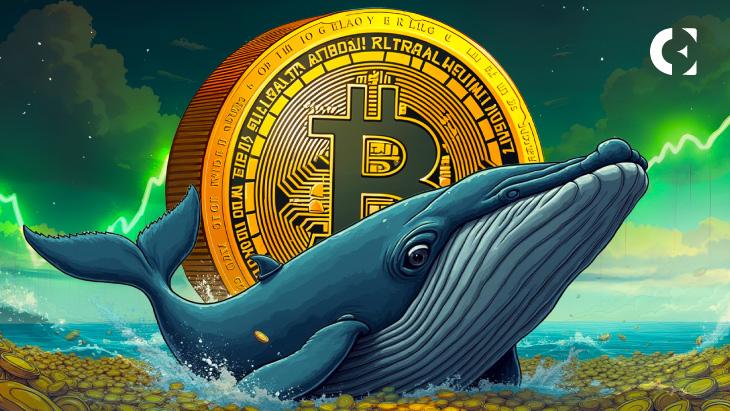 News section-Will This Whale’s 20X Leverage Bet Push Bitcoin to a New All-Time High?