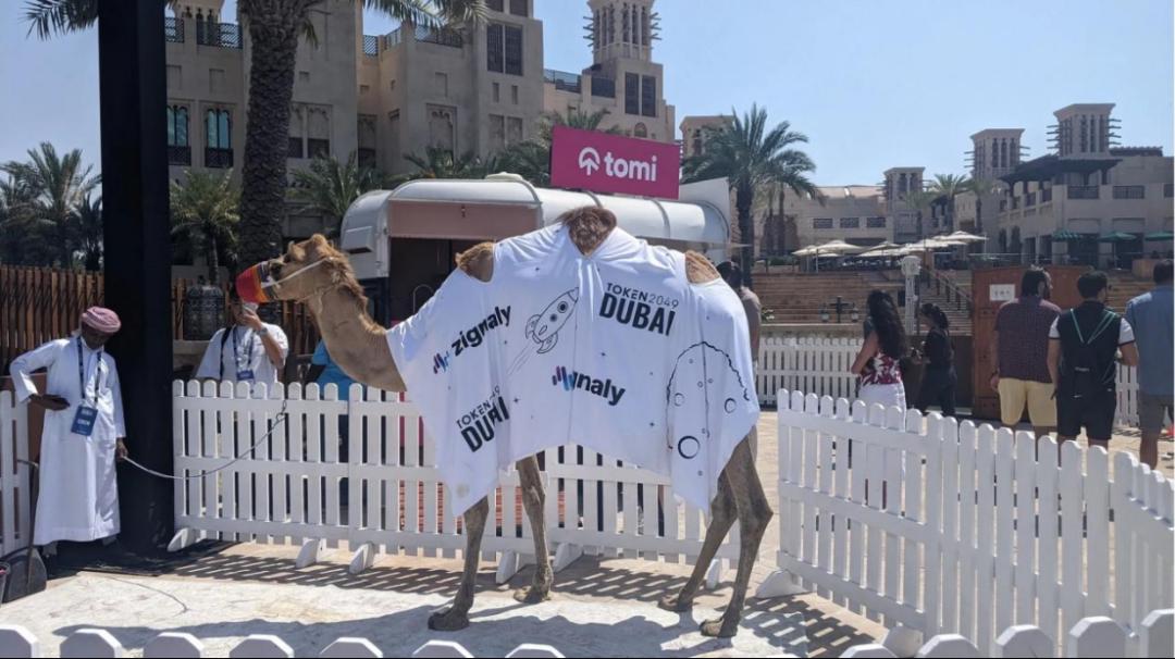 新加坡Web3清场之后，隐形玩家浮出水面