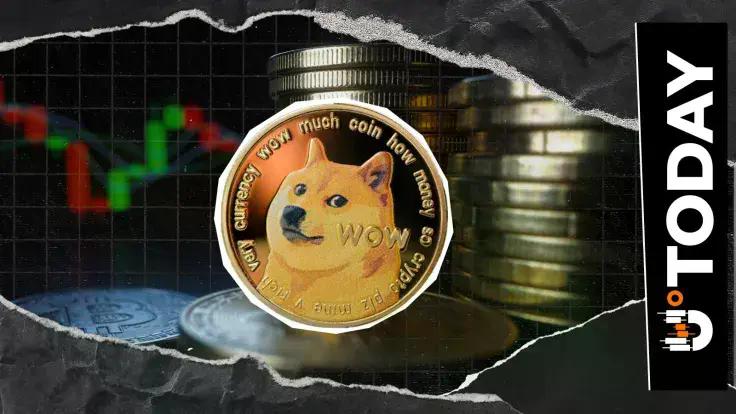 News section-'Doge Not Concerned With the Bear': Dogecoin Team Reacts to Market Lull